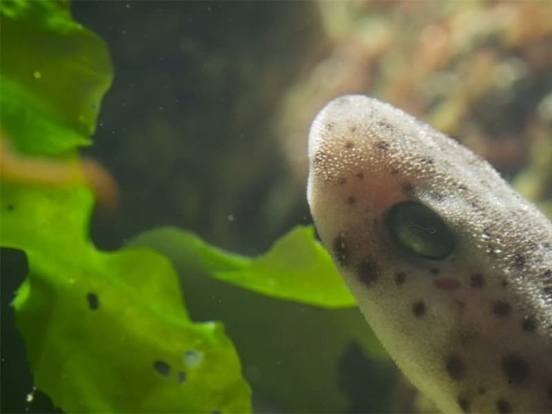 13 ore per sopravvivere - Stag. 1 Ep. 1 - Intrappolati nella bassa marea