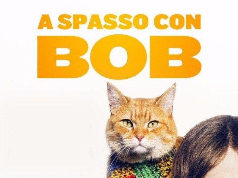 A spasso con Bob