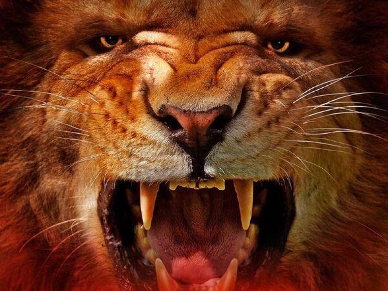 Against the Wild: Viaggio attraverso il Serengeti