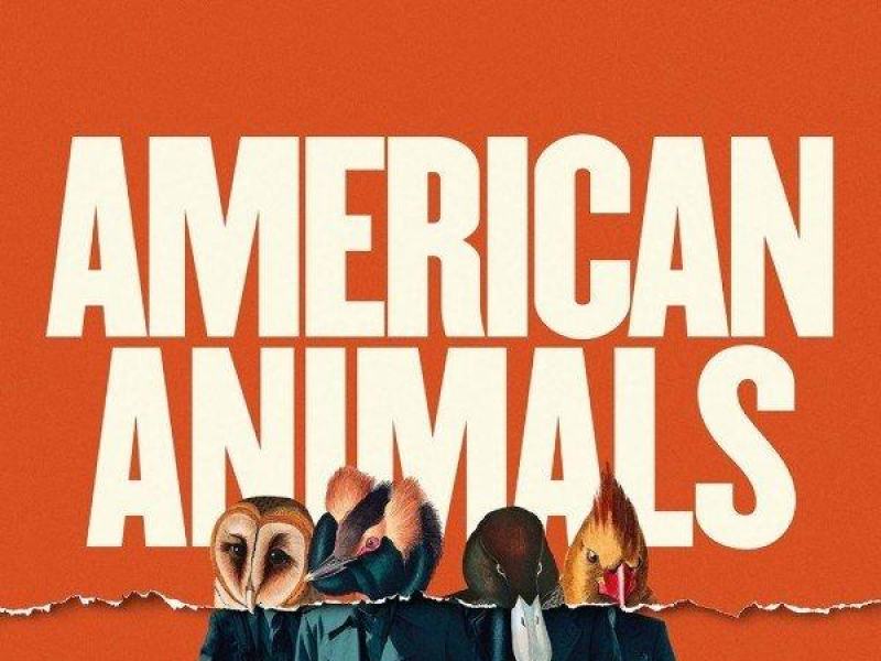 American Animals