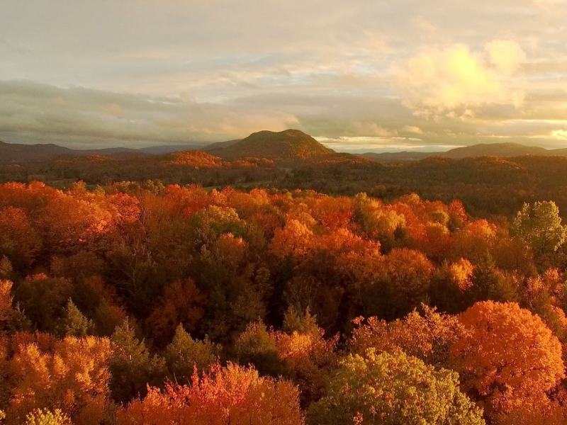 Americàs Wild Seasons - Stag. 1 Ep. 3 - Autunno