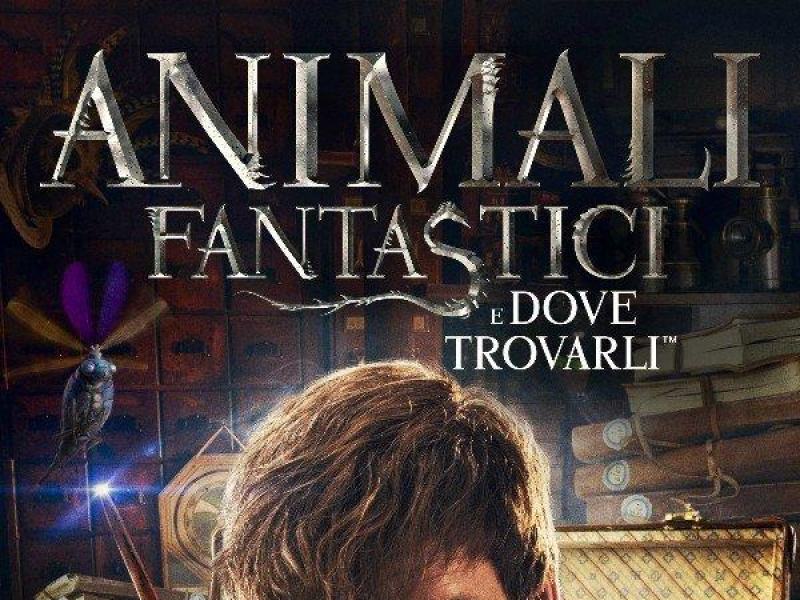 Animali fantastici e dove trovarli