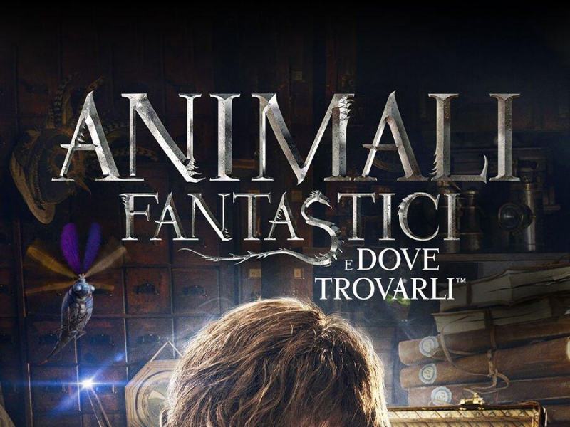 Animali fantastici e dove trovarli