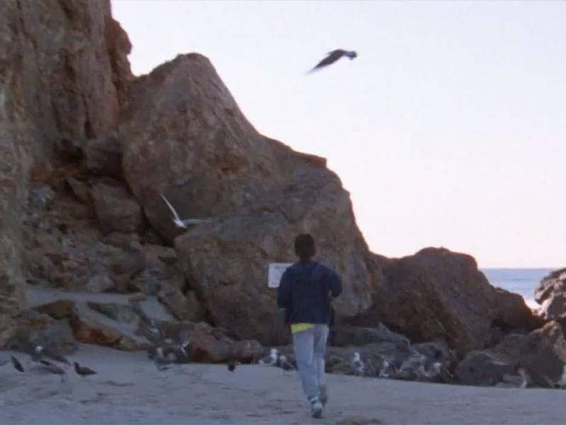 Baywatch - Stag. 1 Ep. 18 - La leggenda della Luna Nera