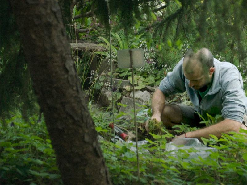 Bestiari, Erbari, Lapidari / Documenti