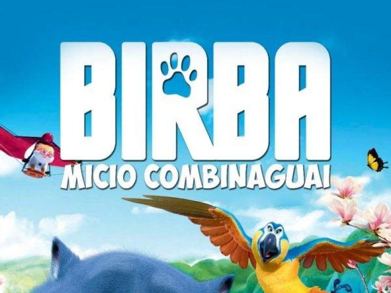 Birba - Micio combinaguai