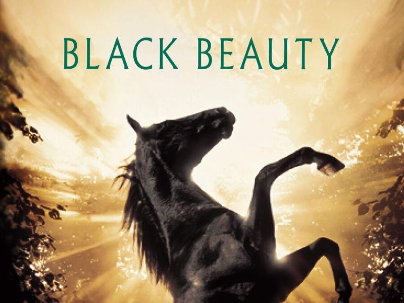 Black Beauty