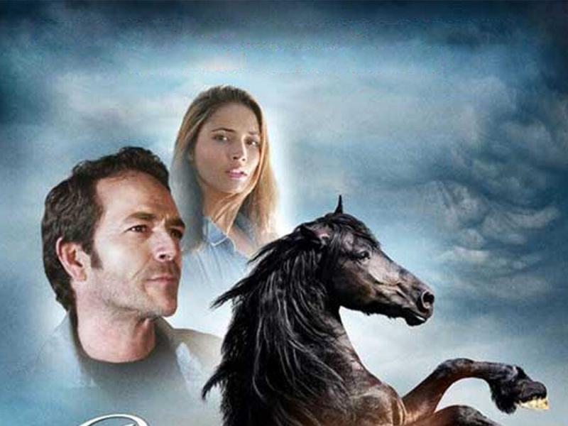 Black Beauty - Una storia di coraggio