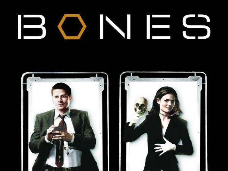 Bones