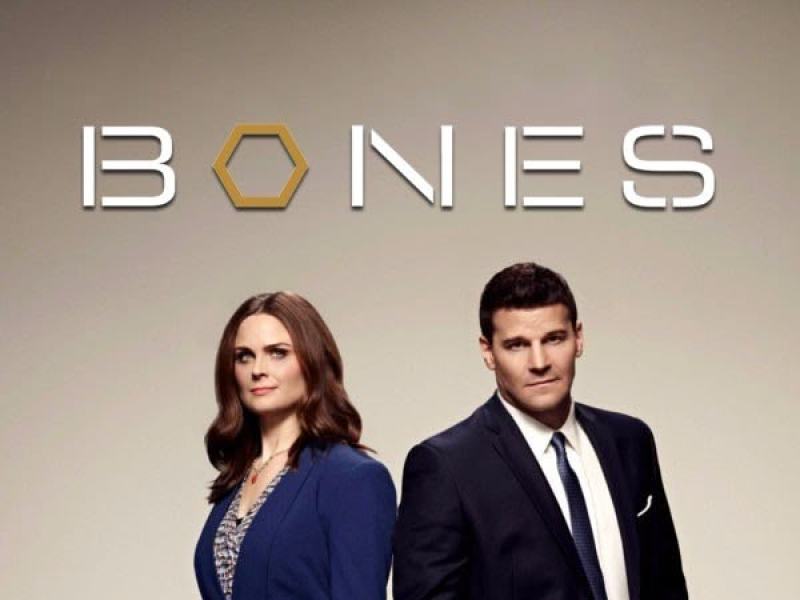 Bones