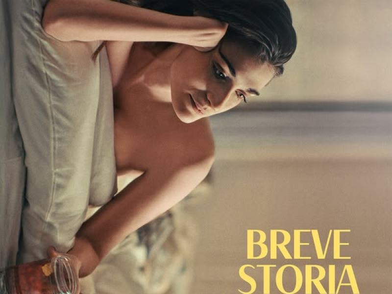 Breve storia d'amore
