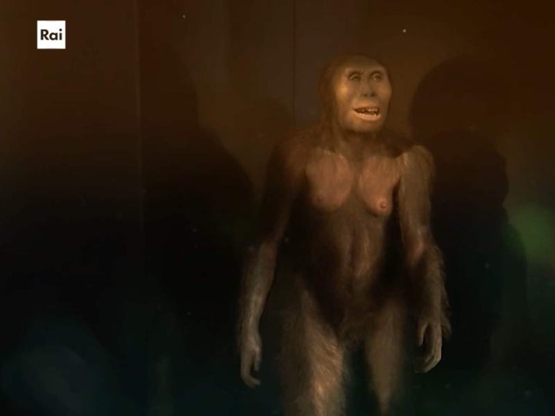 Casa Sapiens - Stag. 2024 Ep. 10 - Caso e necessita