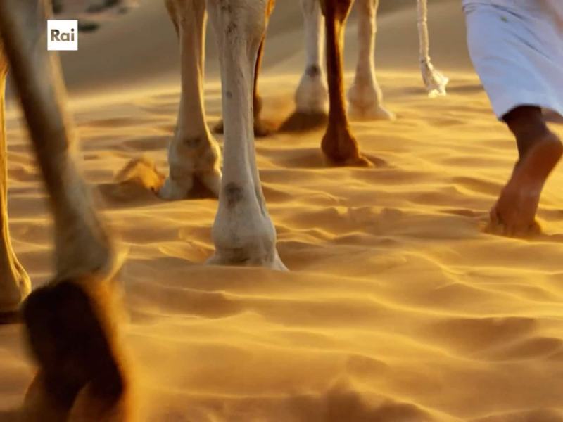 Casa Sapiens - Stag. 2024 Ep. 11 - Oro grigio