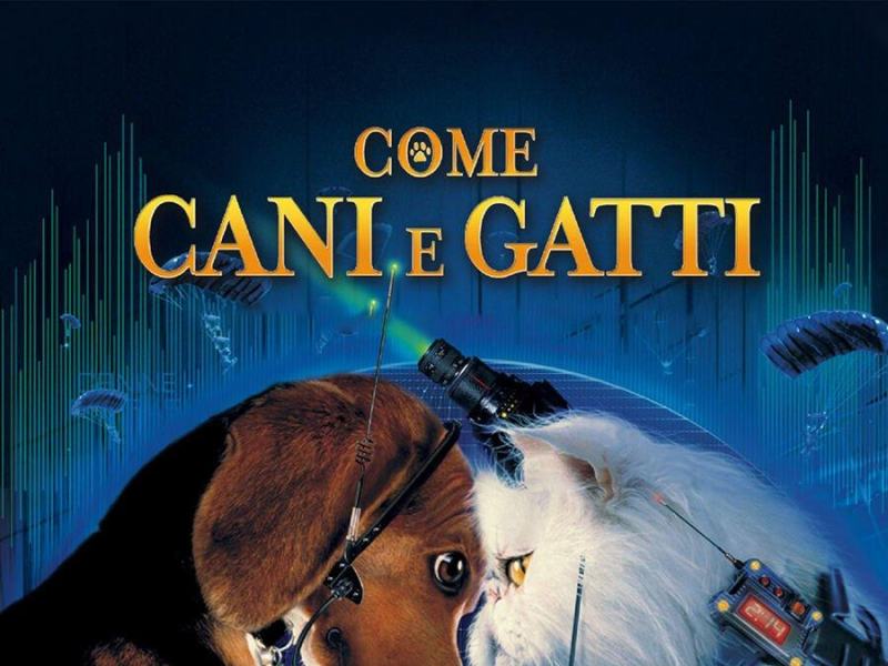 Come cani e gatti