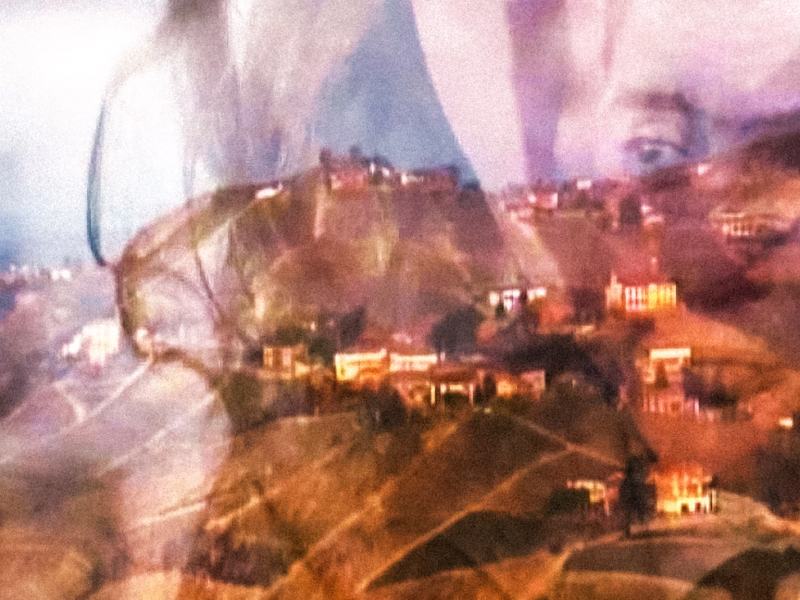 Come una perla mimetizzata tra le alghe