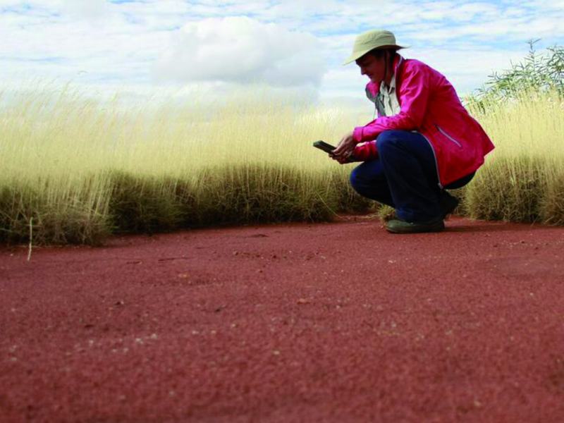 Cose di questo mondo