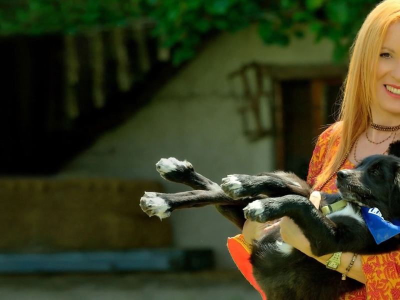 Dalla parte degli animali