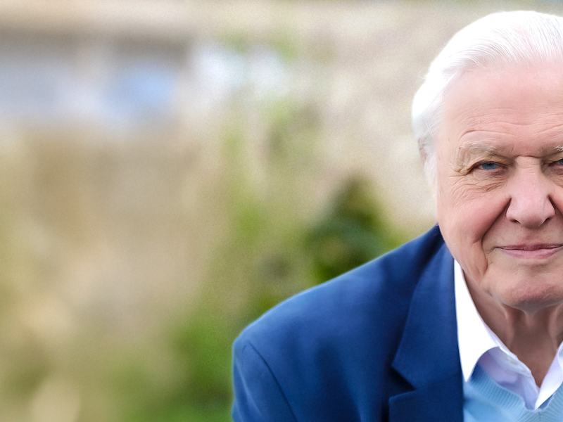 David Attenborough - La melodia della natura