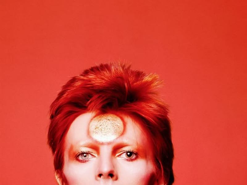 David Bowie - Ziggy Stardust and The Spiders From Mars