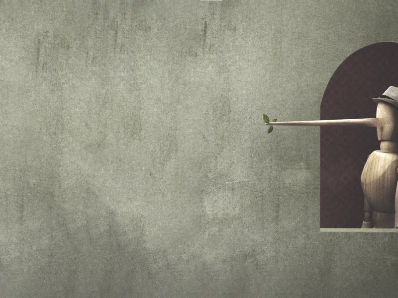 Davide Iodice. Pinocchio e gli altri