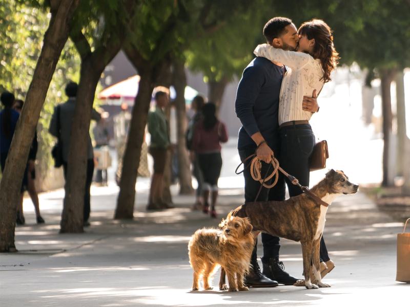 Dog Days