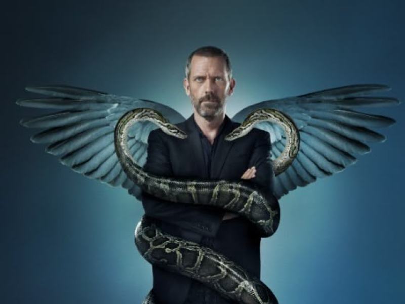 Dr. House: Medical Division