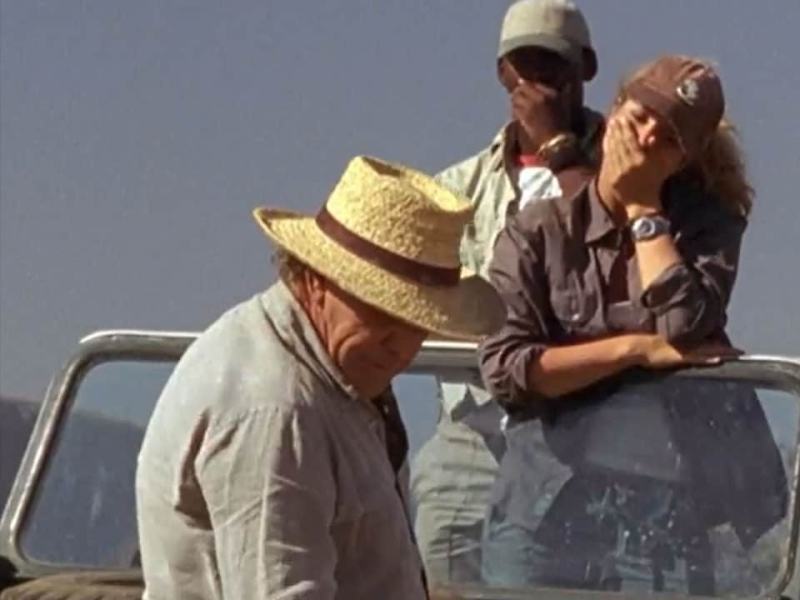 Dream Hotel