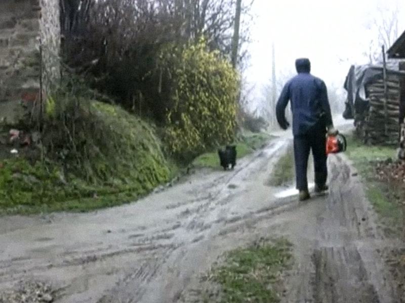 Ed è così, circa, più o meno