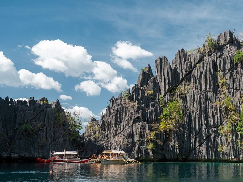 Evolution - Il viaggio di Darwin - Stag. 4 Ep. 99