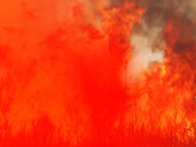 Fire Squad - Incubo di fuoco