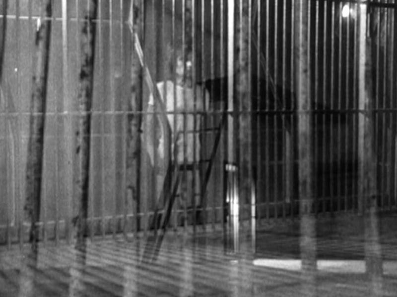 Franco Brocani - Outsider assoluto - Lo specchio a forma di gabbia