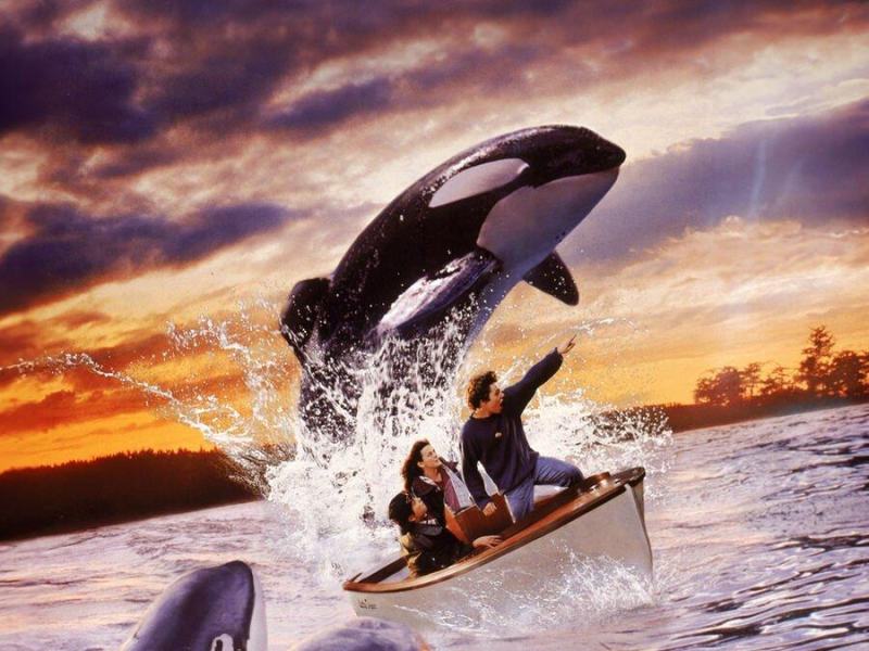 Free Willy 2
