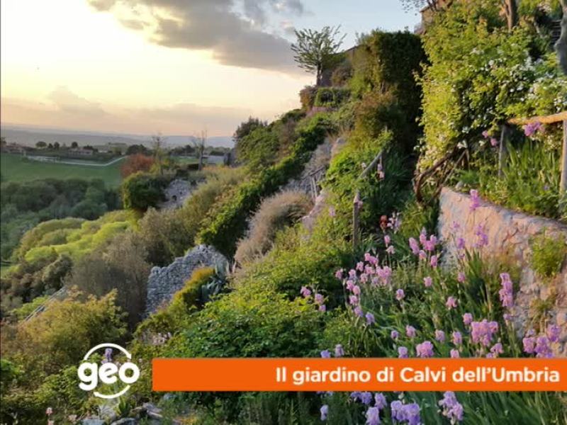 Geo - Stag. 2017 - Il giardino di Calvi dell'Umbria