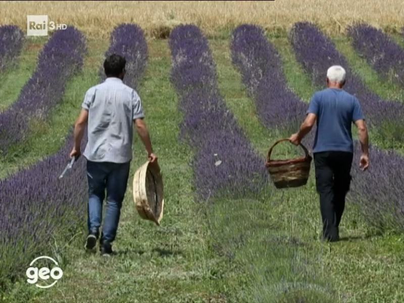 Geo - Stag. 2021 - Monte Carpegna - 07/09/2021