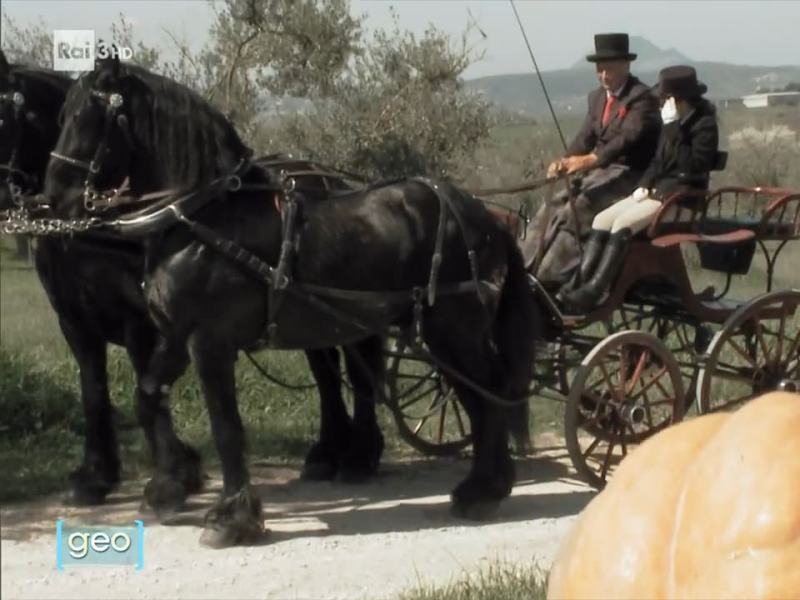 Geo - Stag. 2023 - Zucche e carrozze - 31/10/2023