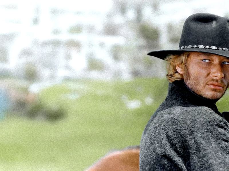 Gli specialisti (Film)