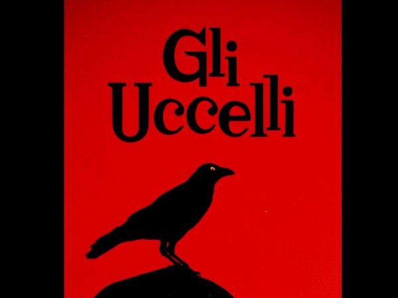 Gli uccelli