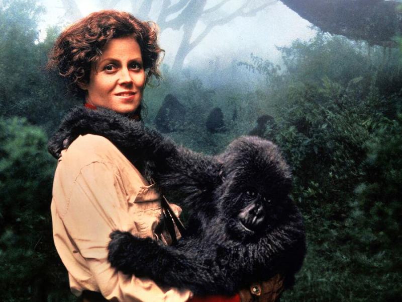 Gorilla nella nebbia-la storia di diane fossey