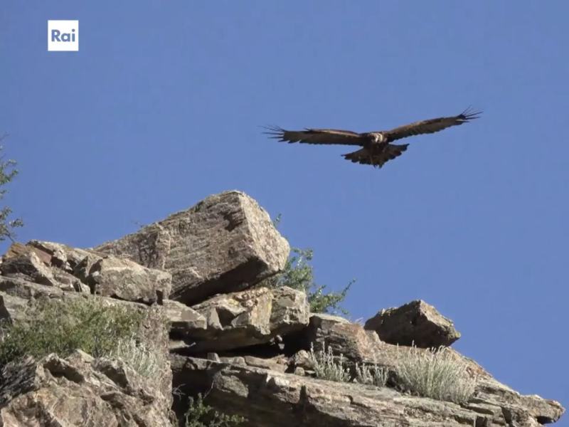 Habitat 2025 - Stag. 2025 Ep. 1 - La Gola della Rossa e Frasassi
