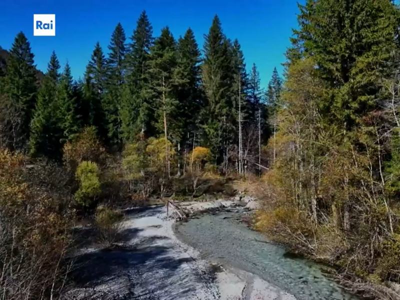 Habitat - Stag. 2025 Ep. 4 - La foresta millenaria di Tarvisio