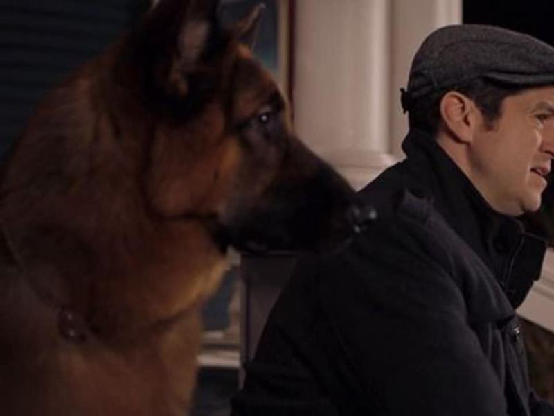 Hudson e Rex 1 - Stag. 1 Ep. 10 - Sul ghiaccio