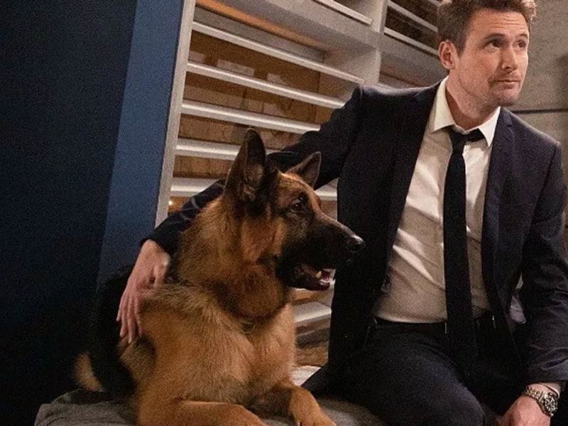 Hudson e Rex - Stag. 1 Ep. 5 - Il passato ritorna