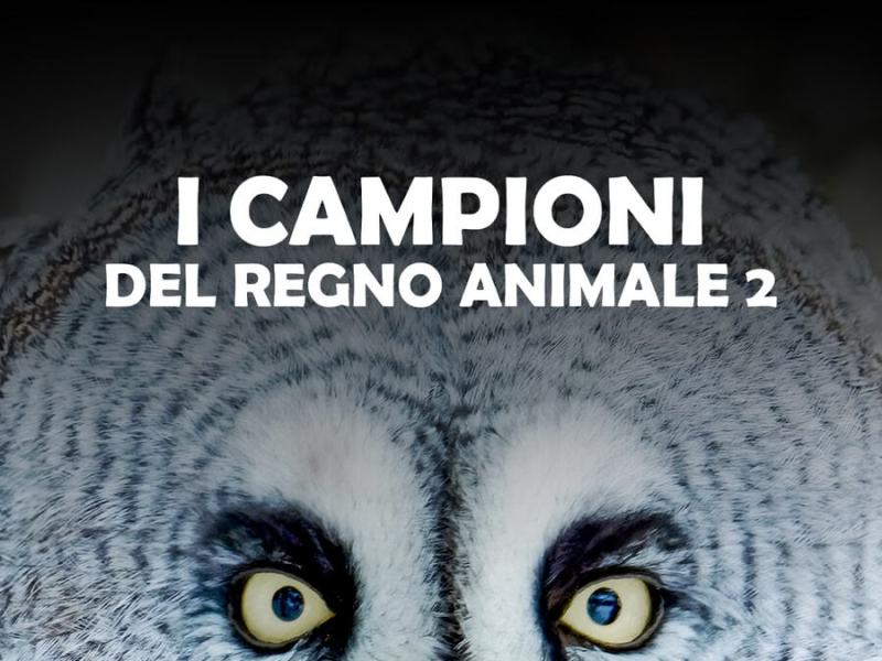 I CAMPIONI DEL REGNO ANIMALE