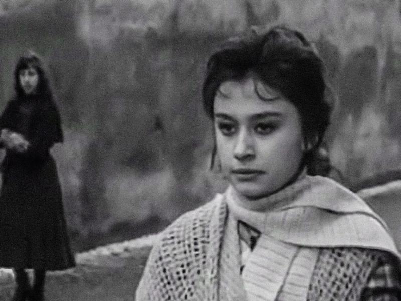 I compagni