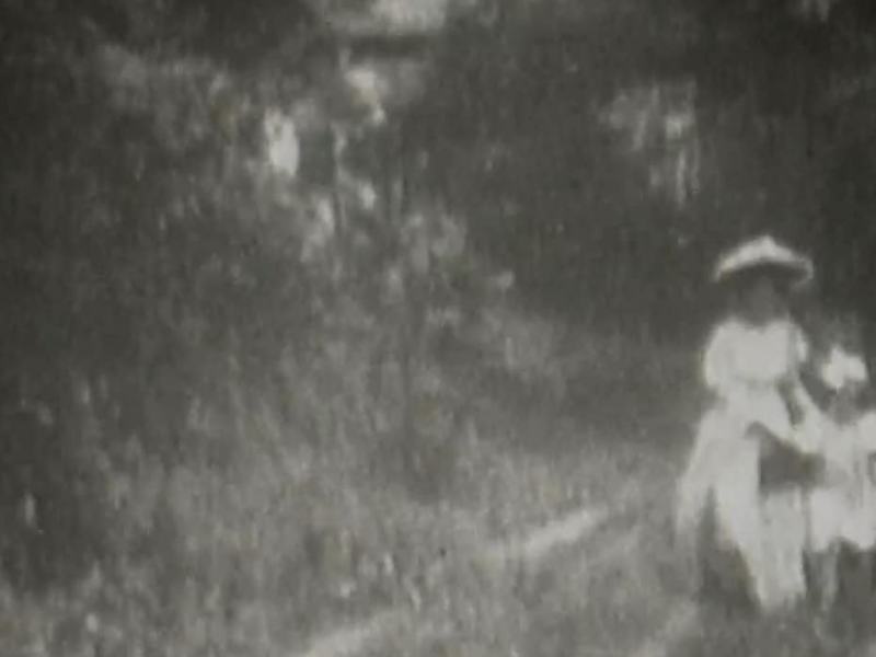 I cortometraggi di David Wark Griffith - Le avventure di Dollie