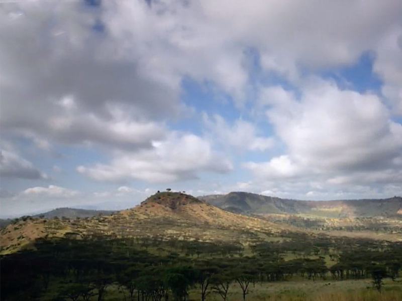 I meccanismi della natura - Ep. 2 - La prateria