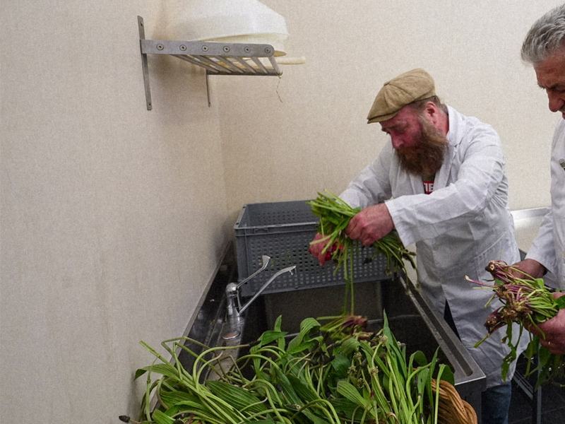 I mestieri di Mirko - Stag. 4 Ep. 19 - I segreti delle erbe