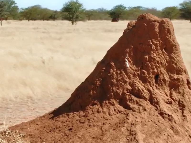 I segreti delle rocce - Stag. 1 Ep. 1 - Argilla, la roccia mutante