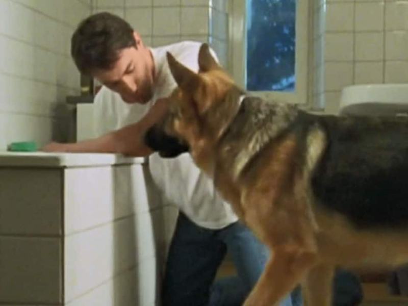 Il commissario Rex - Stag. 6 Ep. 1 - A tutto gas