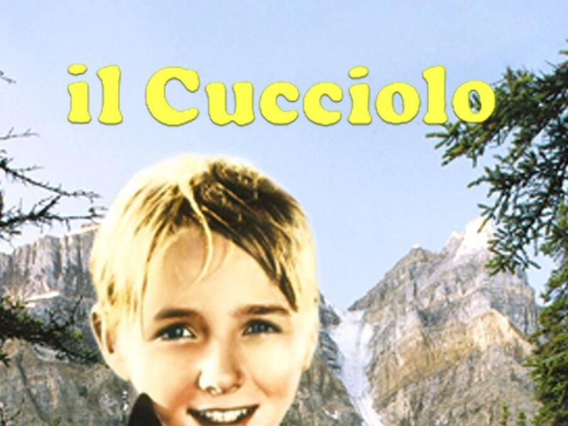 Il cucciolo